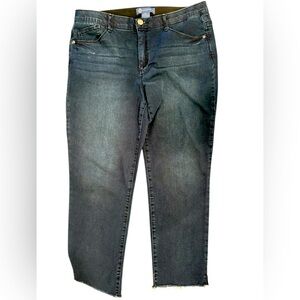 Democracy “Ab” solution Womens Jeans Size 14 Denim Excellent Pre-Owned Condition